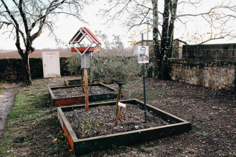 Un potager