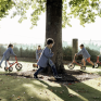 Des enfants jouent dans une cour d'école, autour des arbres. 3 petites filles et 1 petit garçon font de vélo. Un autre petit garçon coure.